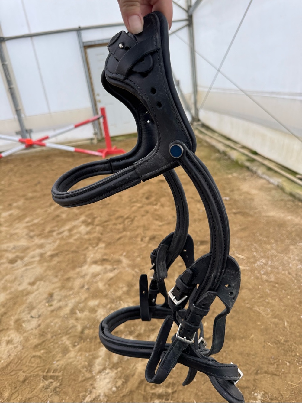 Stubben freedom anatomic bridle